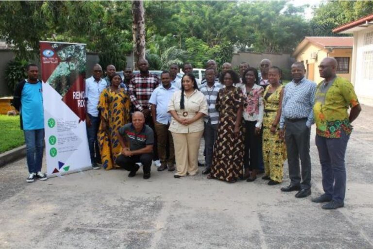 RENOI : Les OSC membre de RENOI-RDC formés en création et gestion de base de données sur l’exploitation forestière