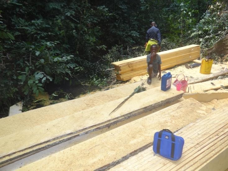 Observation Indépendante dans les exploitations artisanales de bois d’œuvre dans la province de la Tshopo en RDC