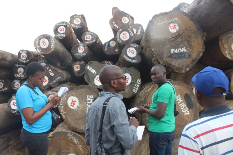 Les inspecteurs de la CCV, accompagnés d’Observateurs Indépendants de l’Observatoire de la Gouvernance Forestière – OGF RDC