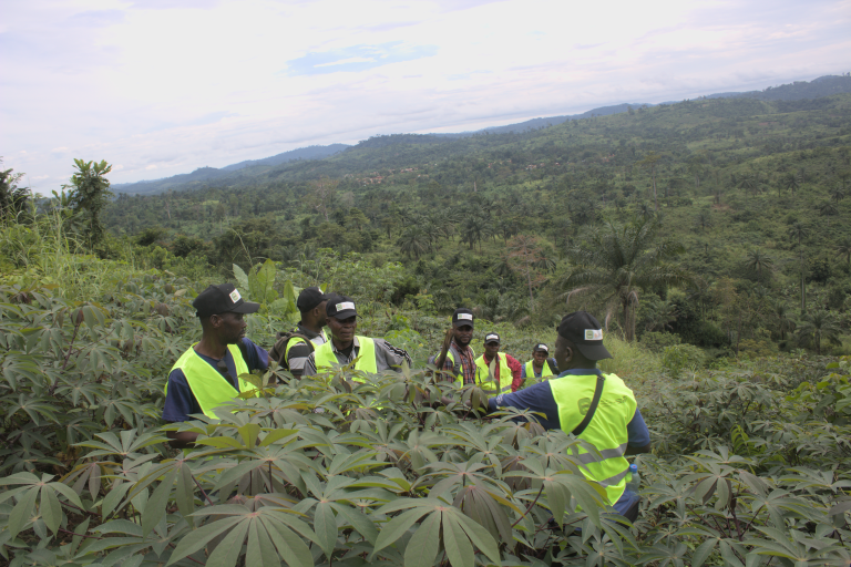 Mission de suivi du couvert forestier dans la réserve de Luki à l’aide de Global Forest Watch