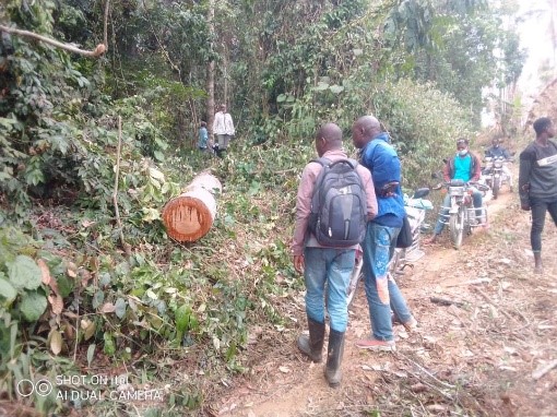 RAPPORT DE MISSION DE TERRAIN N°19  Mission officielle de contrôle des activités d’exploitation forestière au Kongo Central, dans la Réserve de Biosphère  de Luki