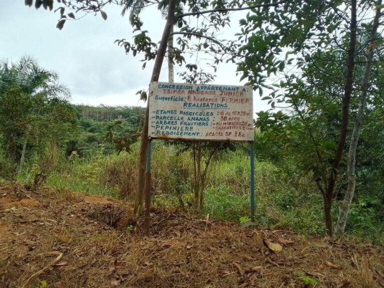 Mission de suivi du couvert forestier dans les zones impactés par le projet REDD+ autour de la réserve de LUKI à l’aide de Global Forest Watch