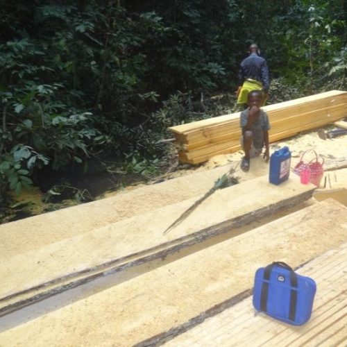 Observation Indépendante dans les exploitations artisanales de bois d’œuvre dans la province de la Tshopo en RDC